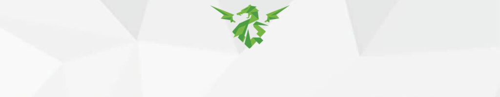 Junior Desktop Support Technician